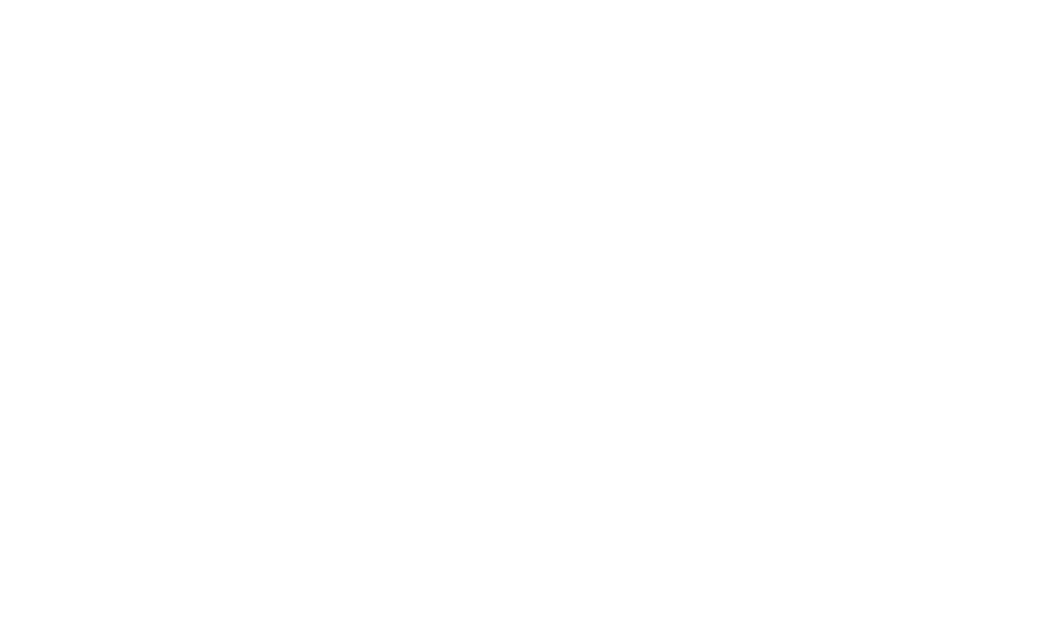 chamex